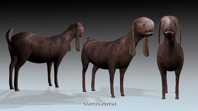 Syrian Goat Al SHAMI GOAT Low-poly 3D model_3