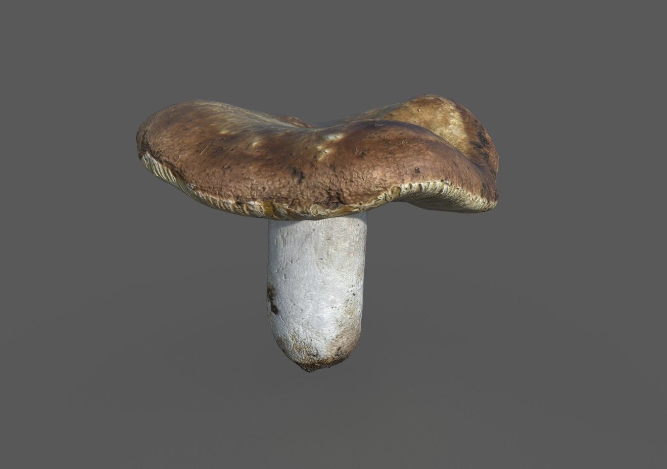 MUSHROOM 1 Low-poly 3D model_2