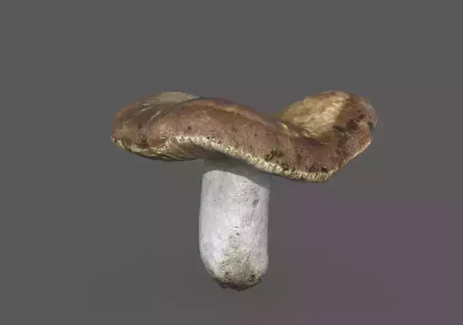 MUSHROOM 1 Low-poly 3D model