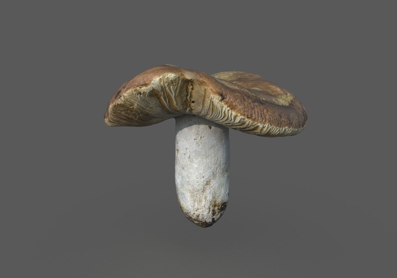 MUSHROOM 1 Low-poly 3D model_1