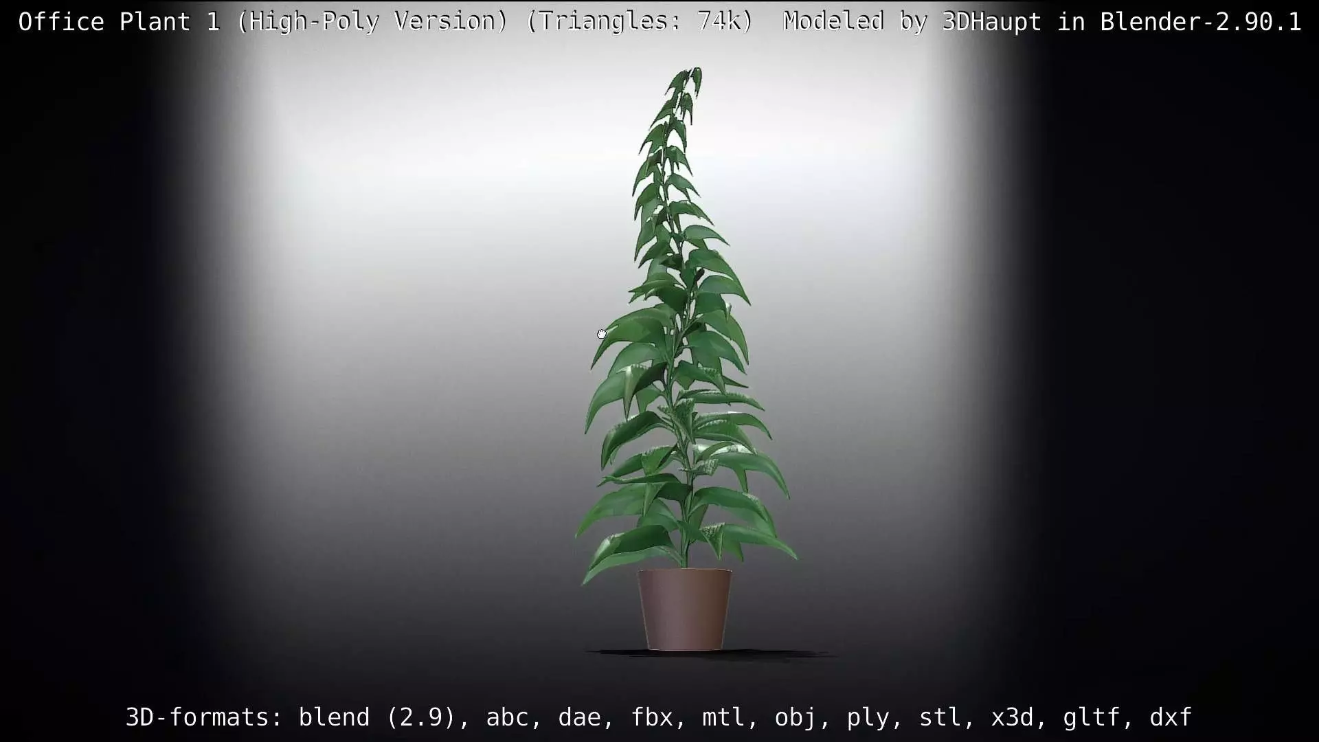 Office Plant 1 Free 3D model