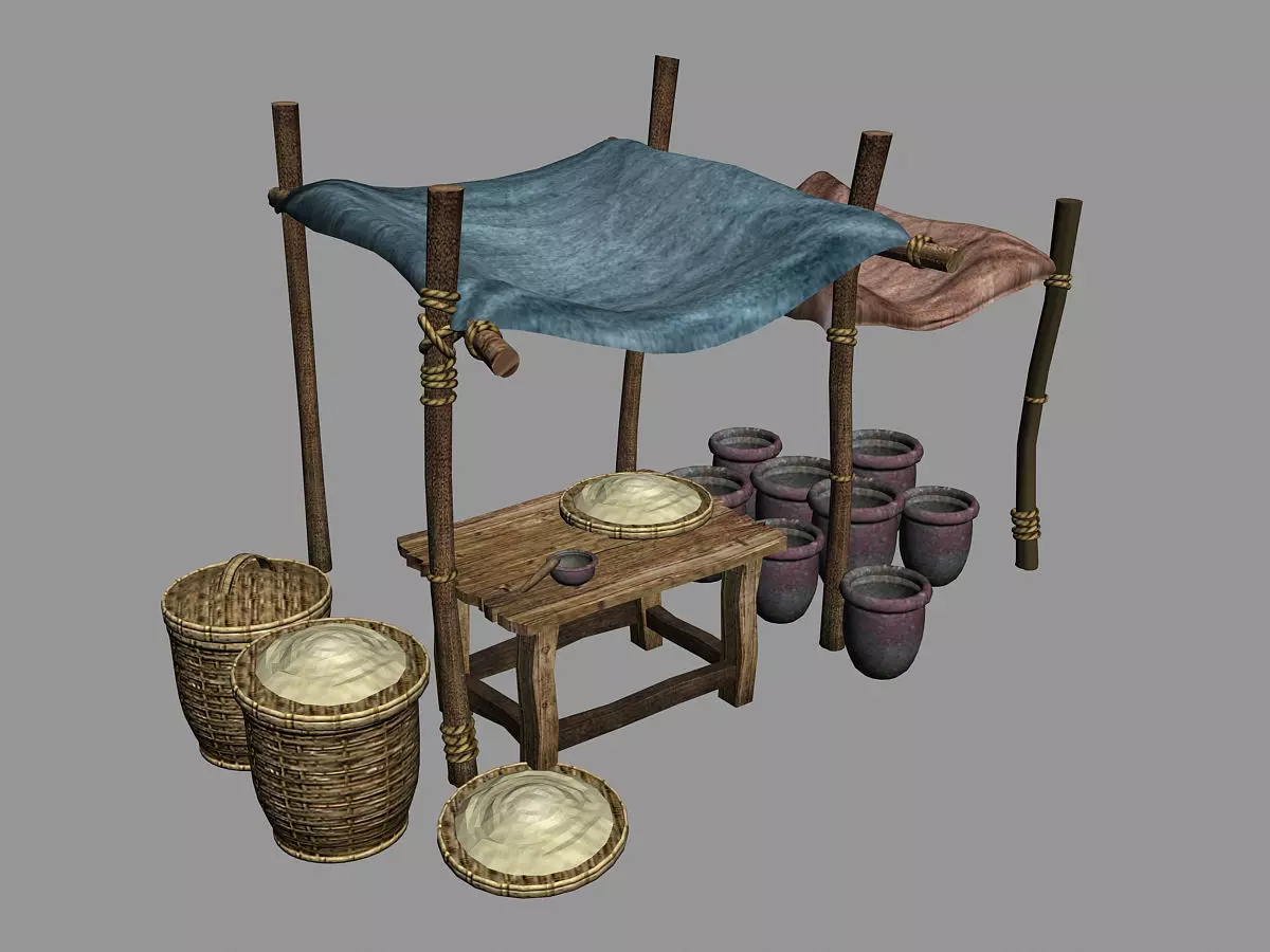 Seaweed Iodine-Salt-Stall 10 3D model_0