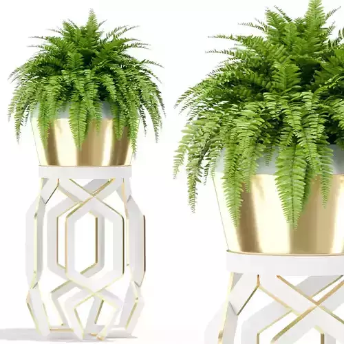 Plants collection 413