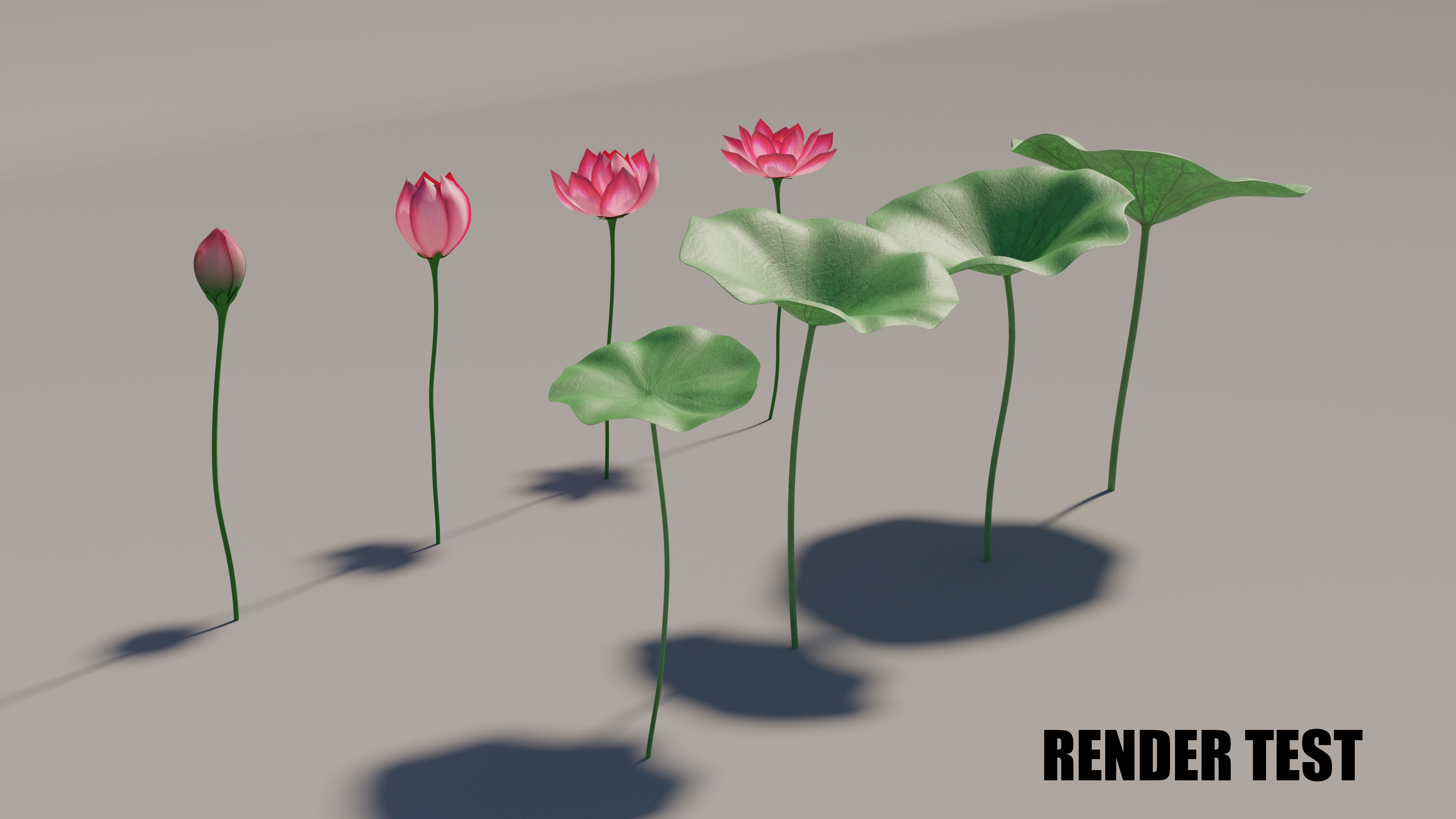 Asia Lotus 3D model Low-poly 3D model_2