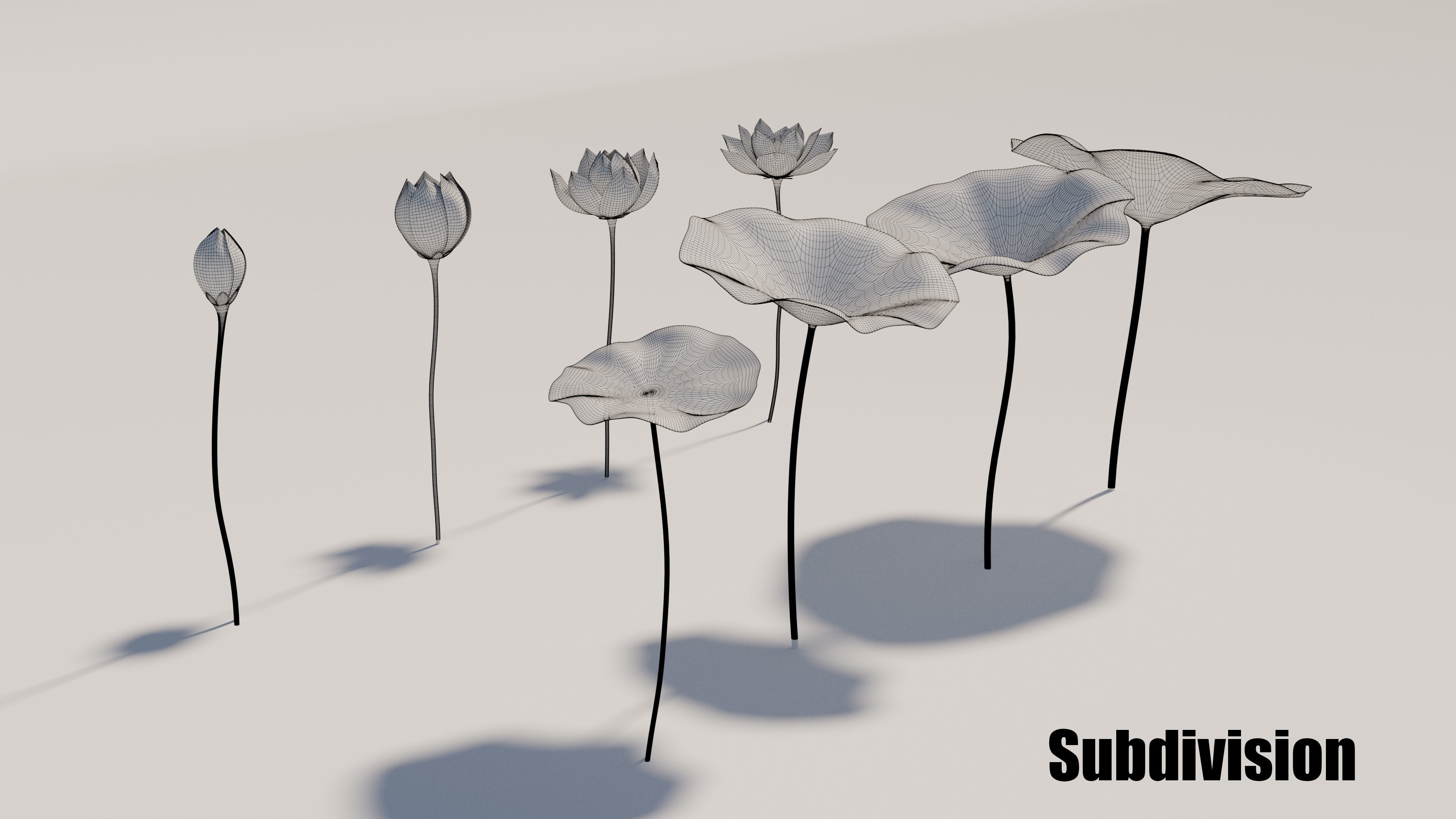 Asia Lotus 3D model Low-poly 3D model_4