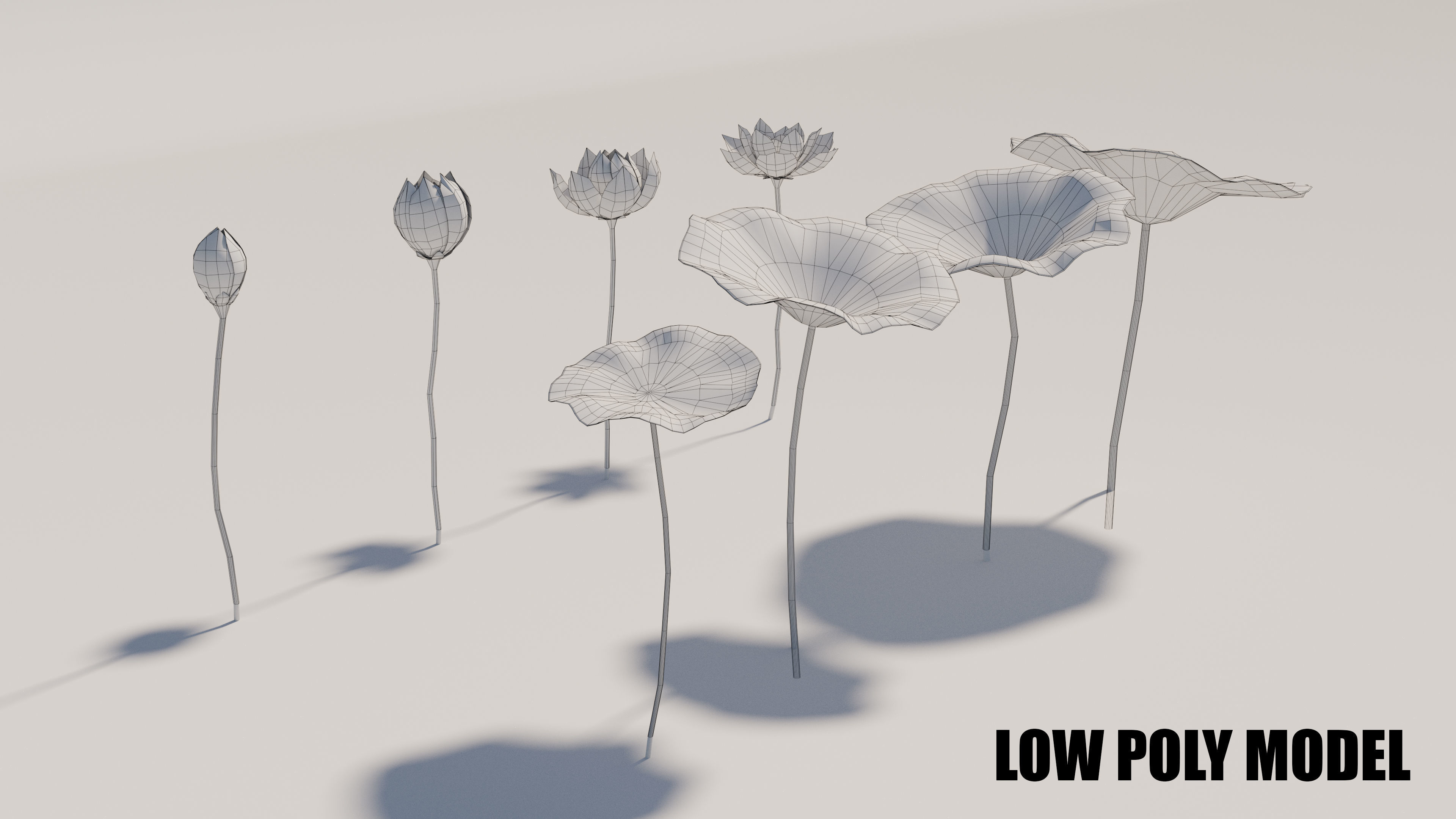 Asia Lotus 3D model Low-poly 3D model_3