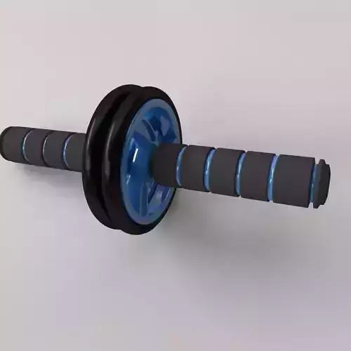 Gymnastic Roller