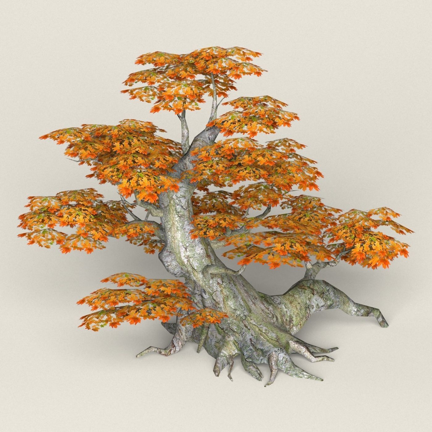 Fantasy Maple Tree Collection Low-poly 3D model_1