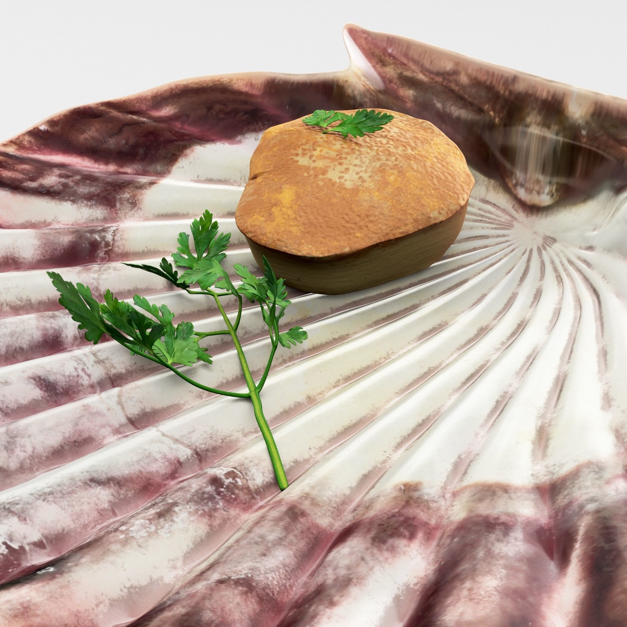 Scallop parsley shell cartoon 3D model_2