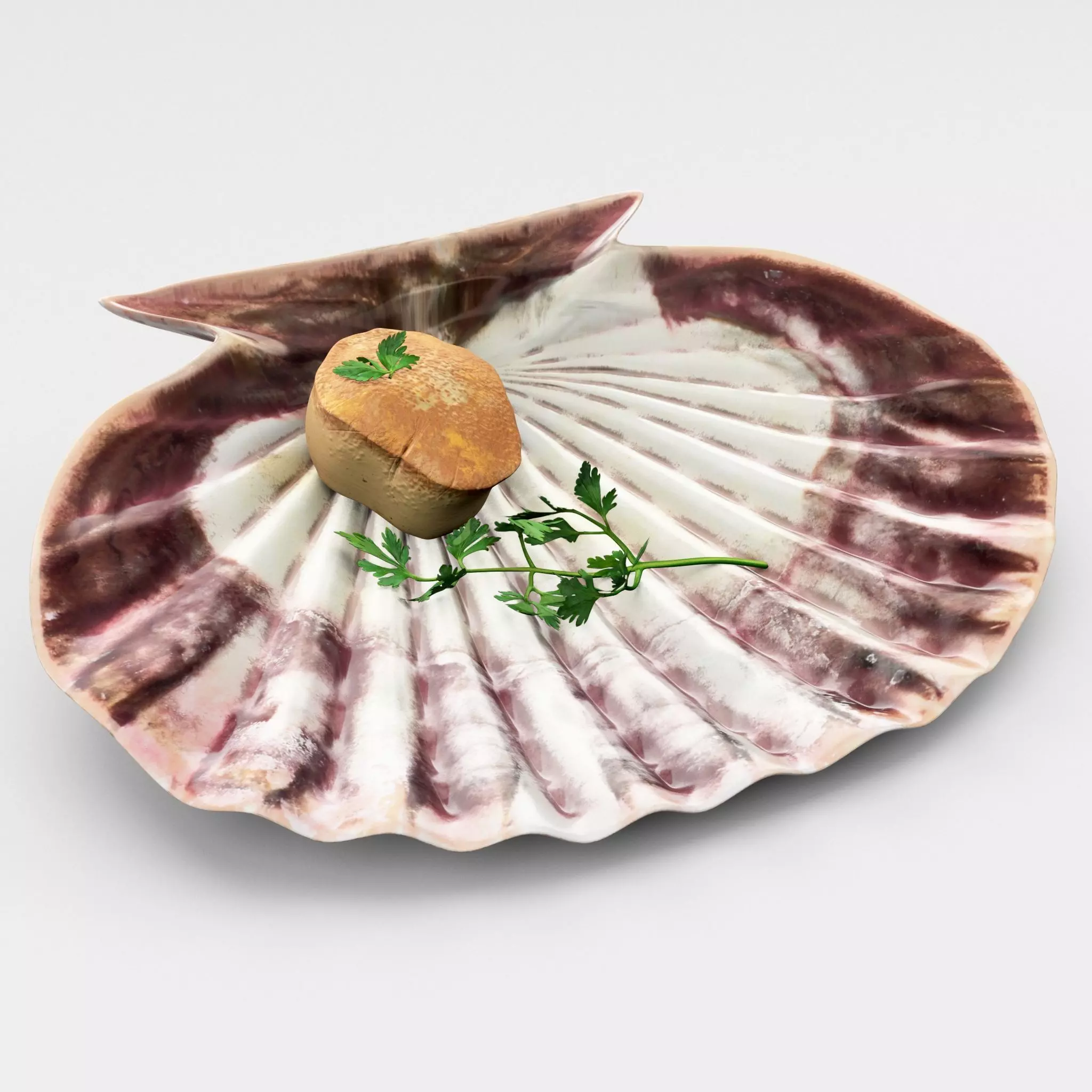 Scallop parsley shell cartoon 3D model_0