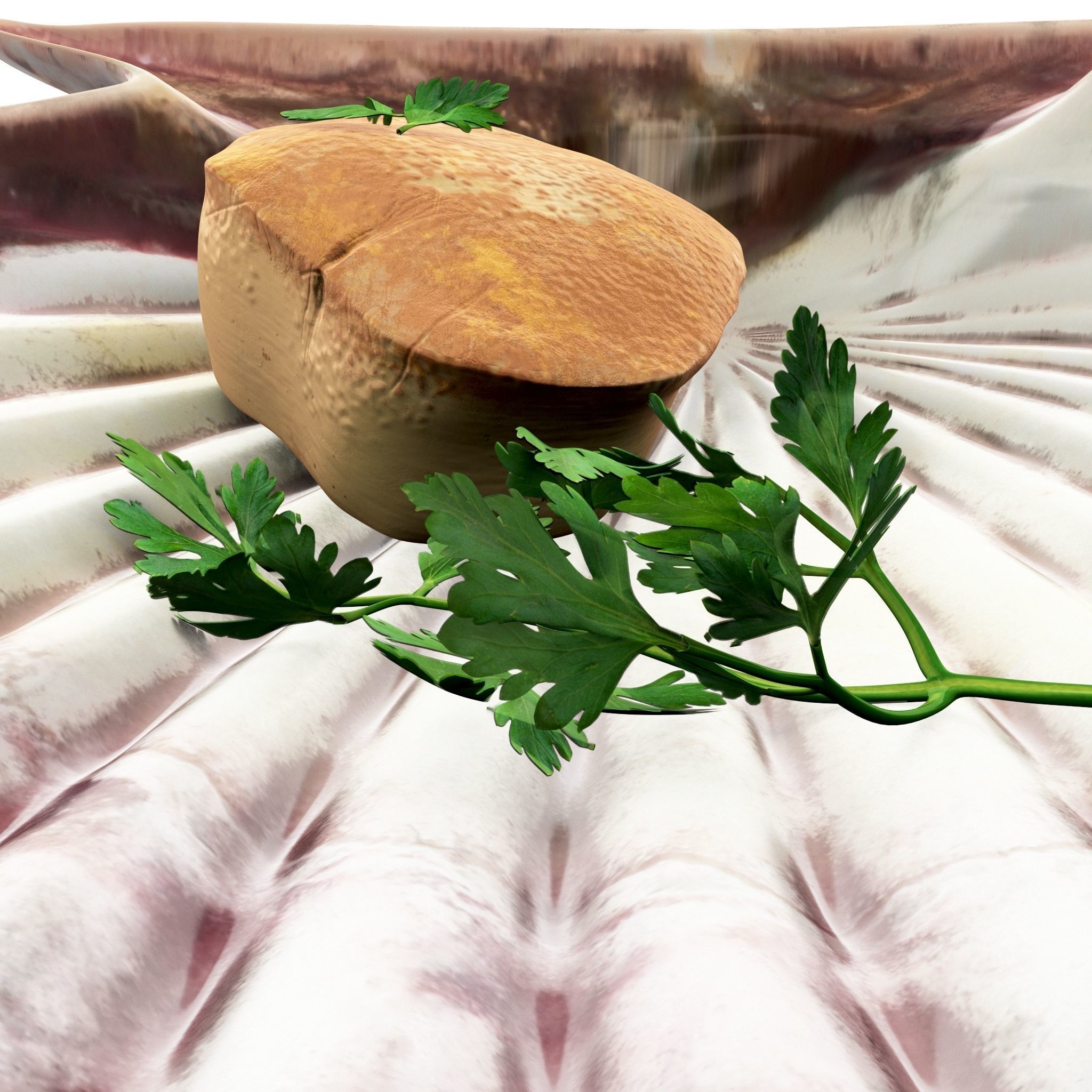 Scallop parsley shell cartoon 3D model_6
