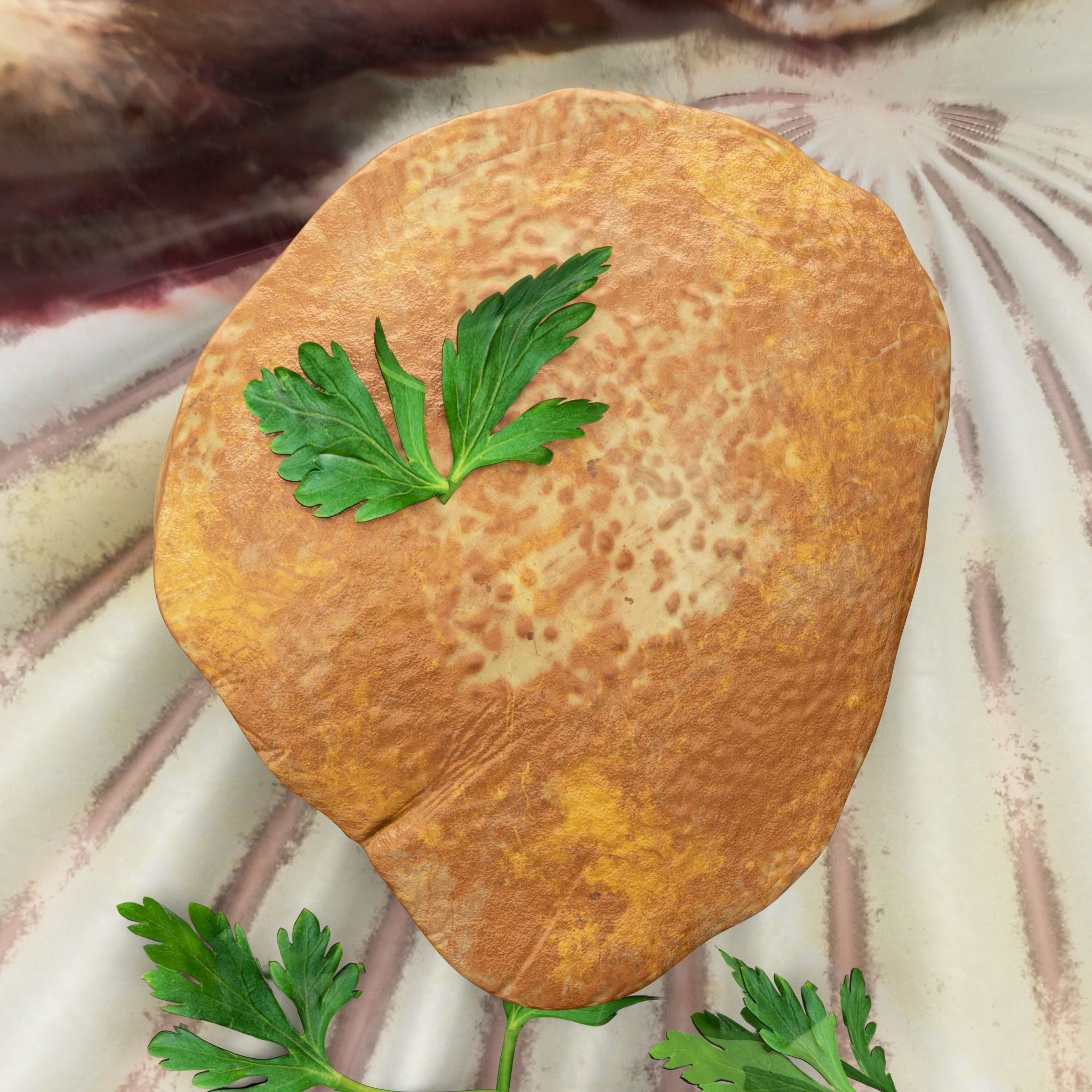 Scallop parsley shell cartoon 3D model_7