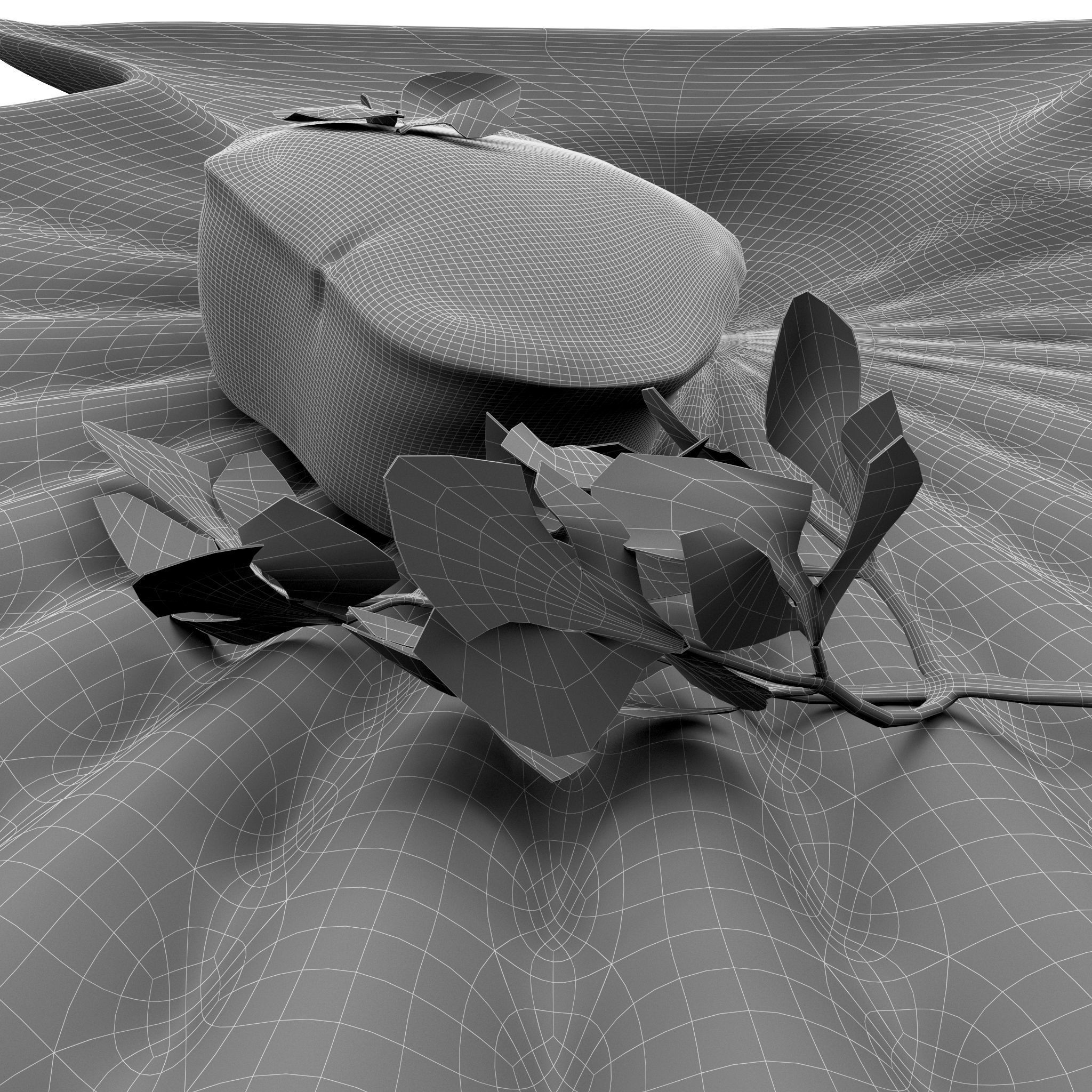 Scallop parsley shell cartoon 3D model_8