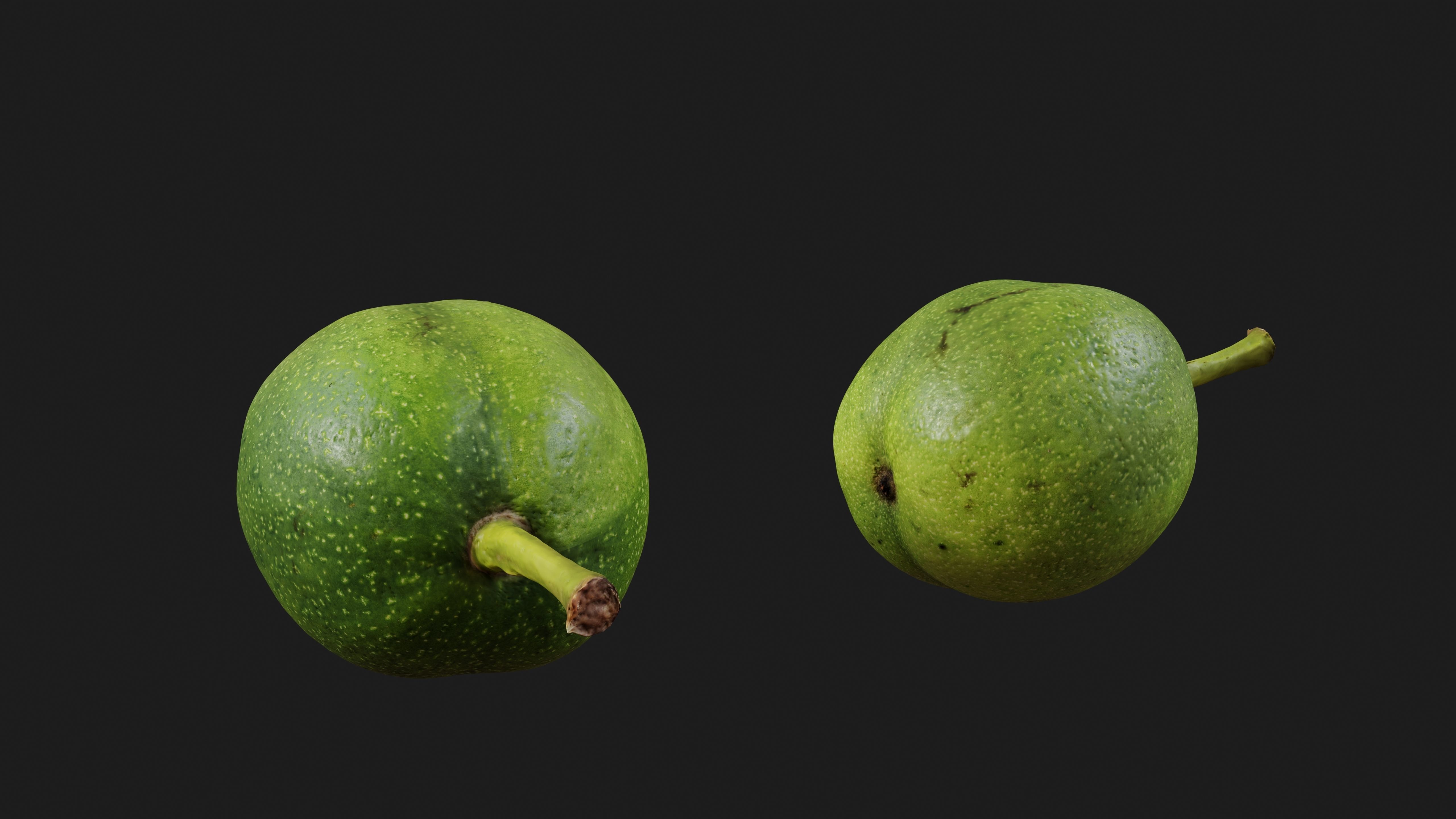 Walnut 3D model_12