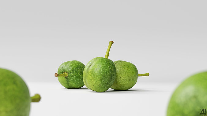Walnut 3D model