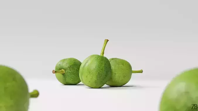 Walnut 3D model