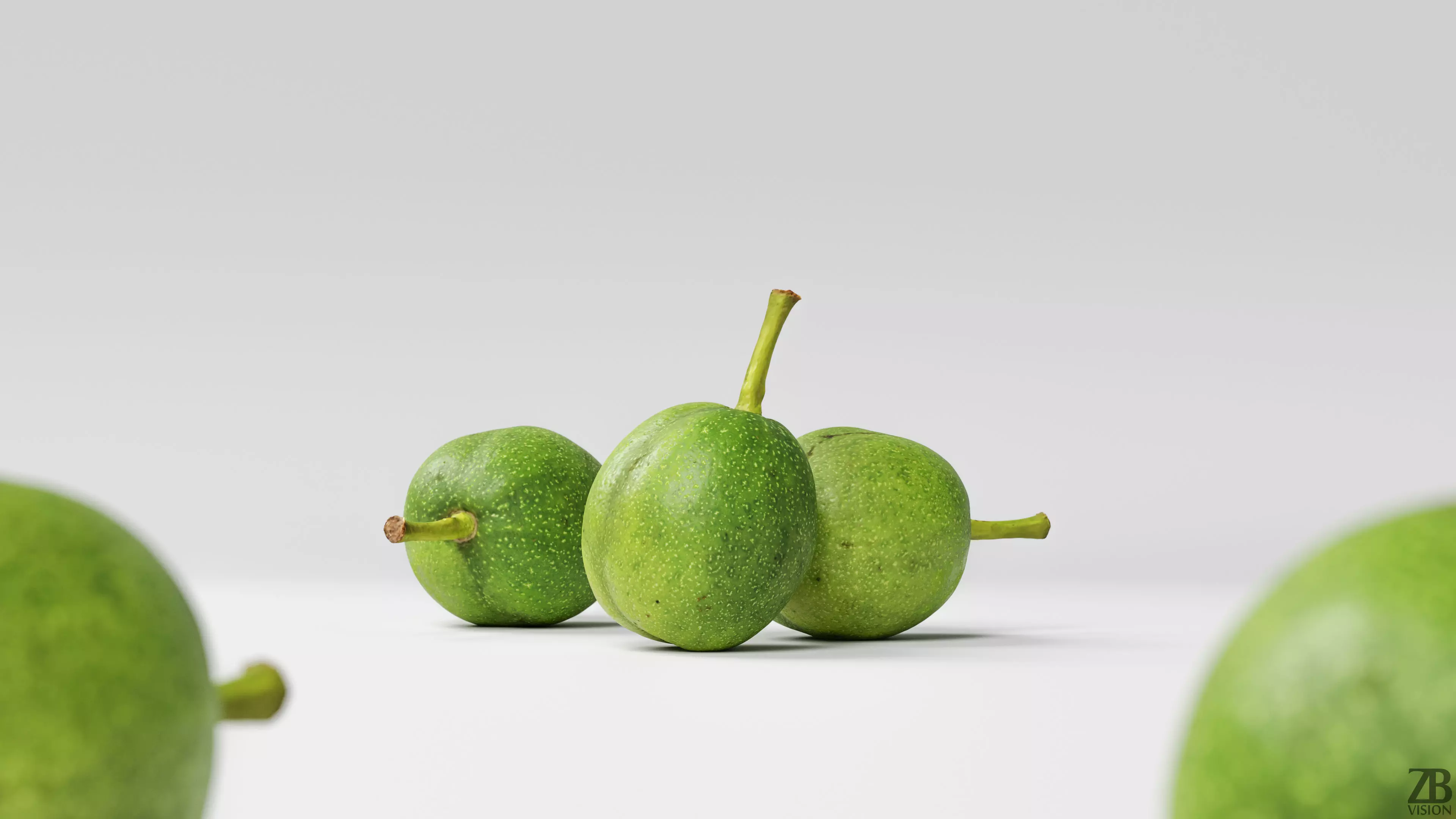 Walnut 3D model_0