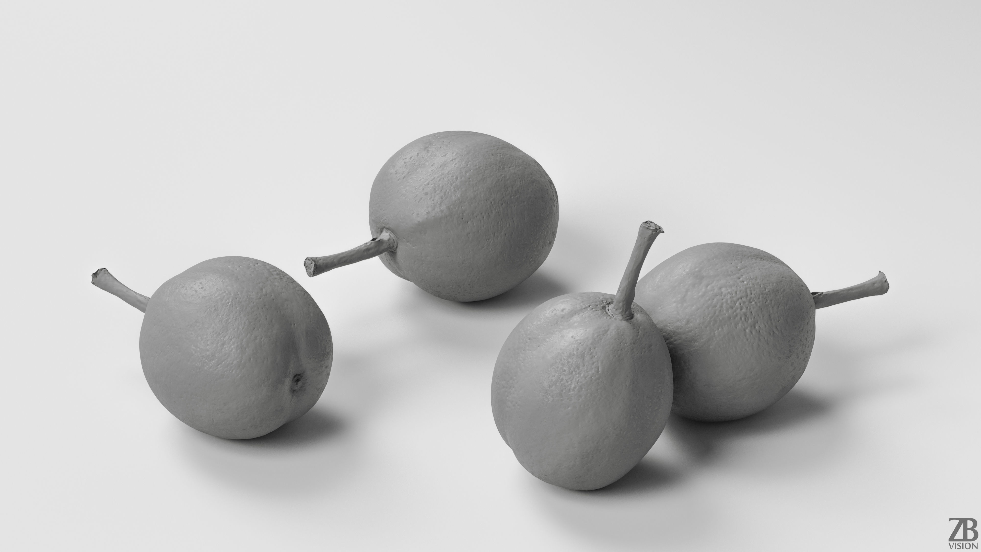 Walnut 3D model_2
