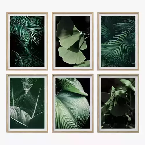 JUNIQE Tropical Set-03