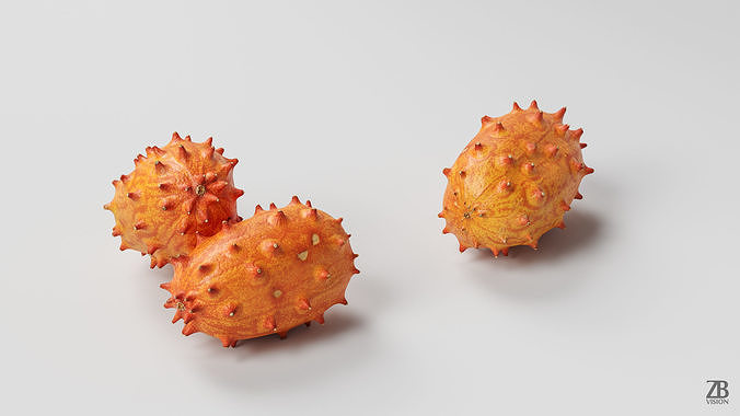 Kiwano 3D model 2