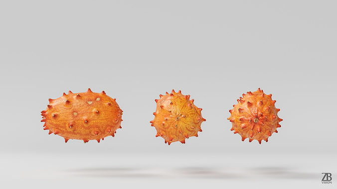 Kiwano 3D model 4