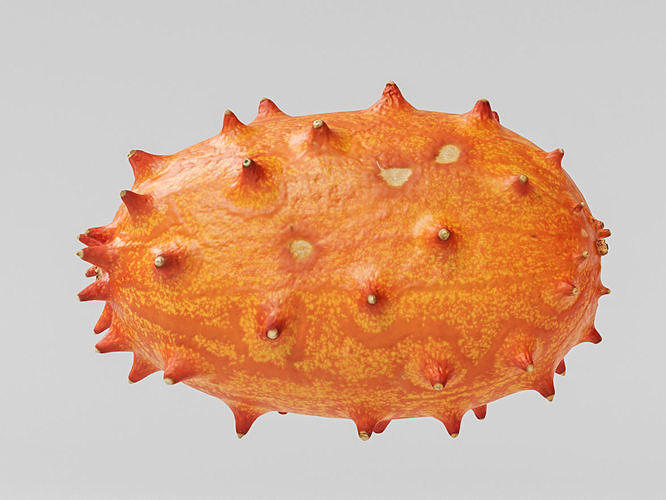 Kiwano 3D model 5