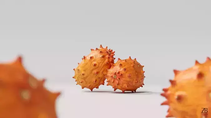 Kiwano 3D model