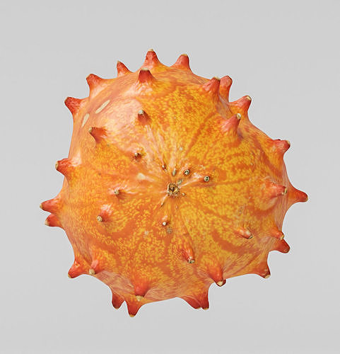 Kiwano 3D model 6