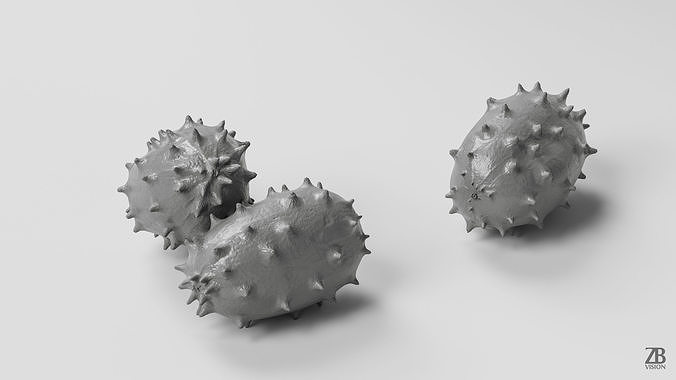 Kiwano 3D model 3
