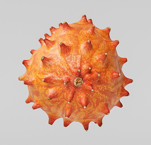 Kiwano 3D model 7