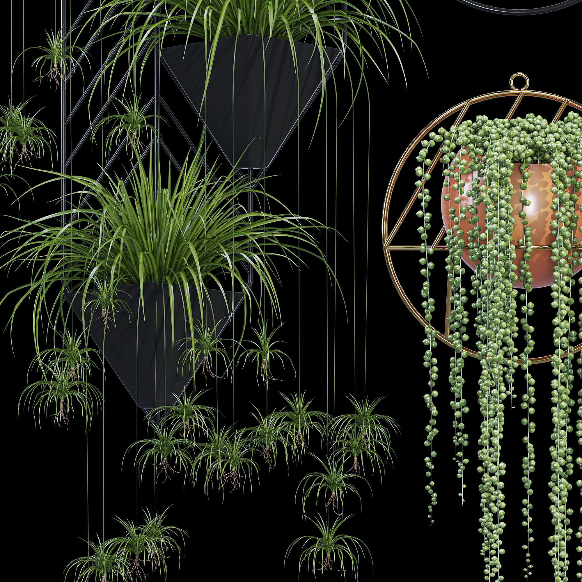 Fegan dayne 3D model_11