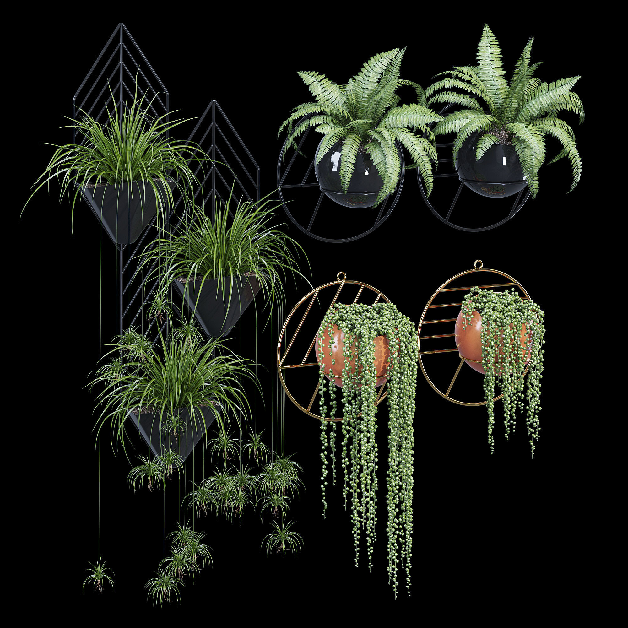 Fegan dayne 3D model_6