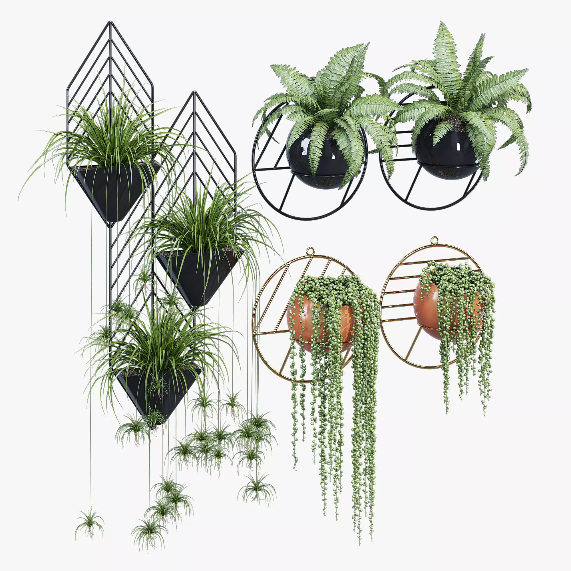 Fegan dayne 3D model_0