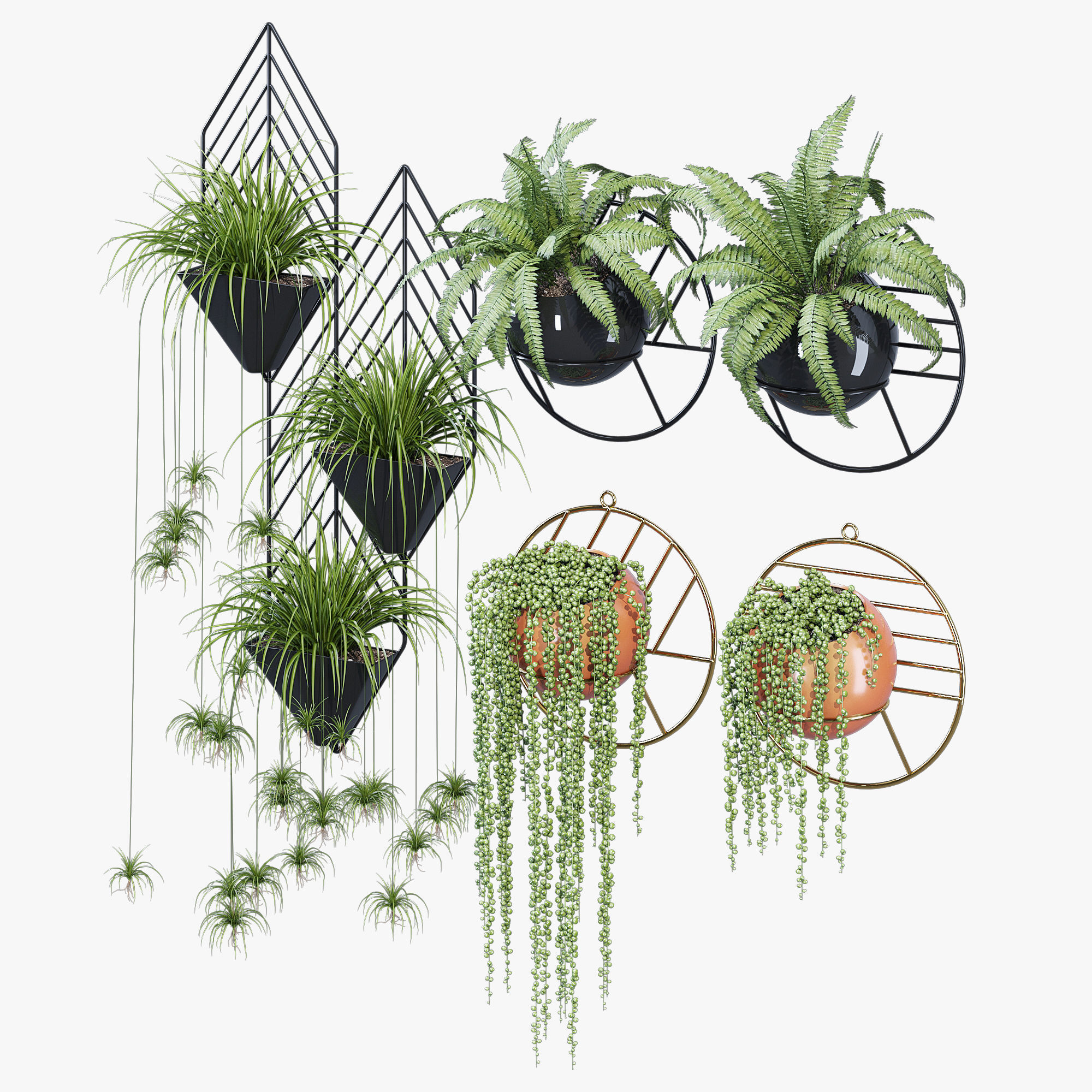 Fegan dayne 3D model_2