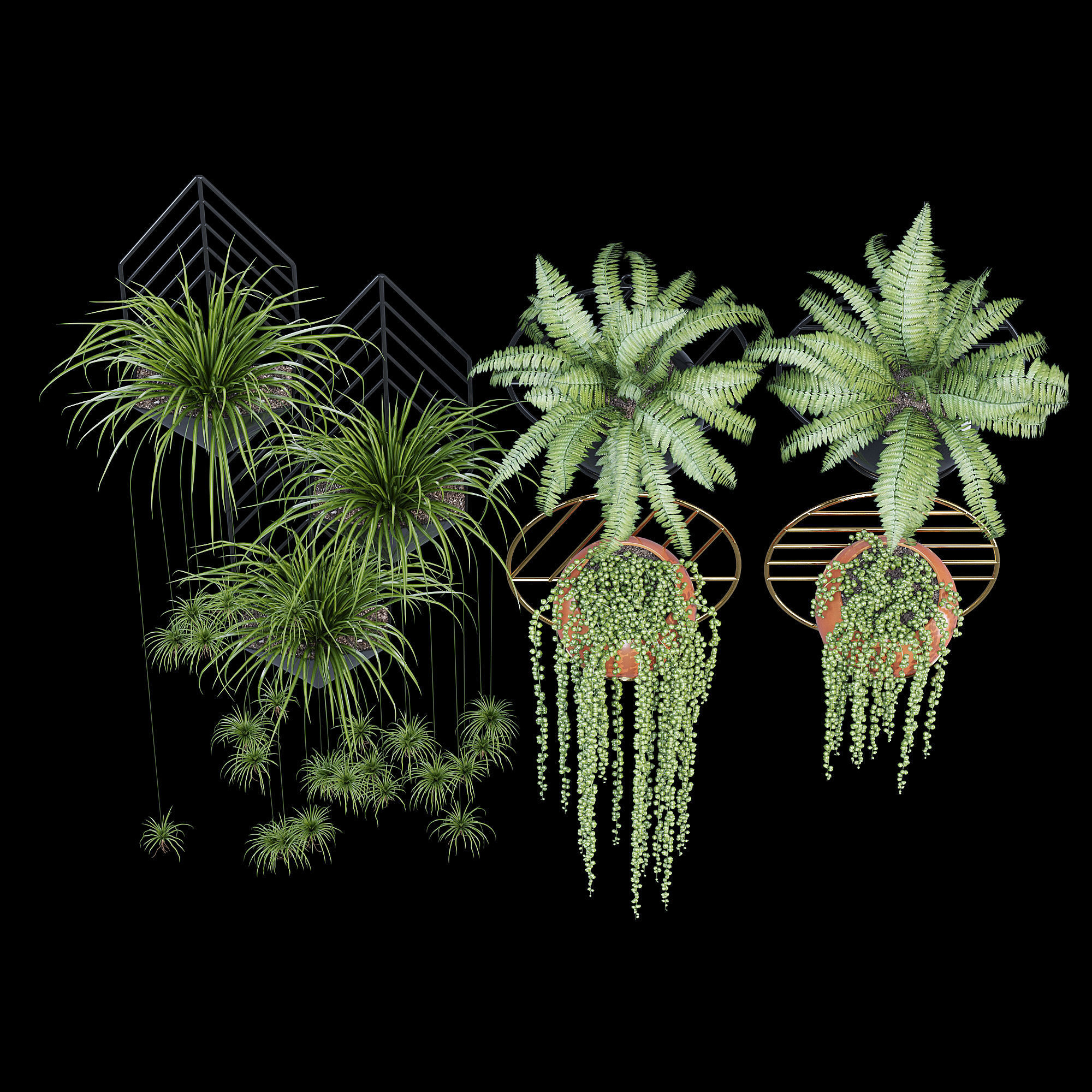 Fegan dayne 3D model_9