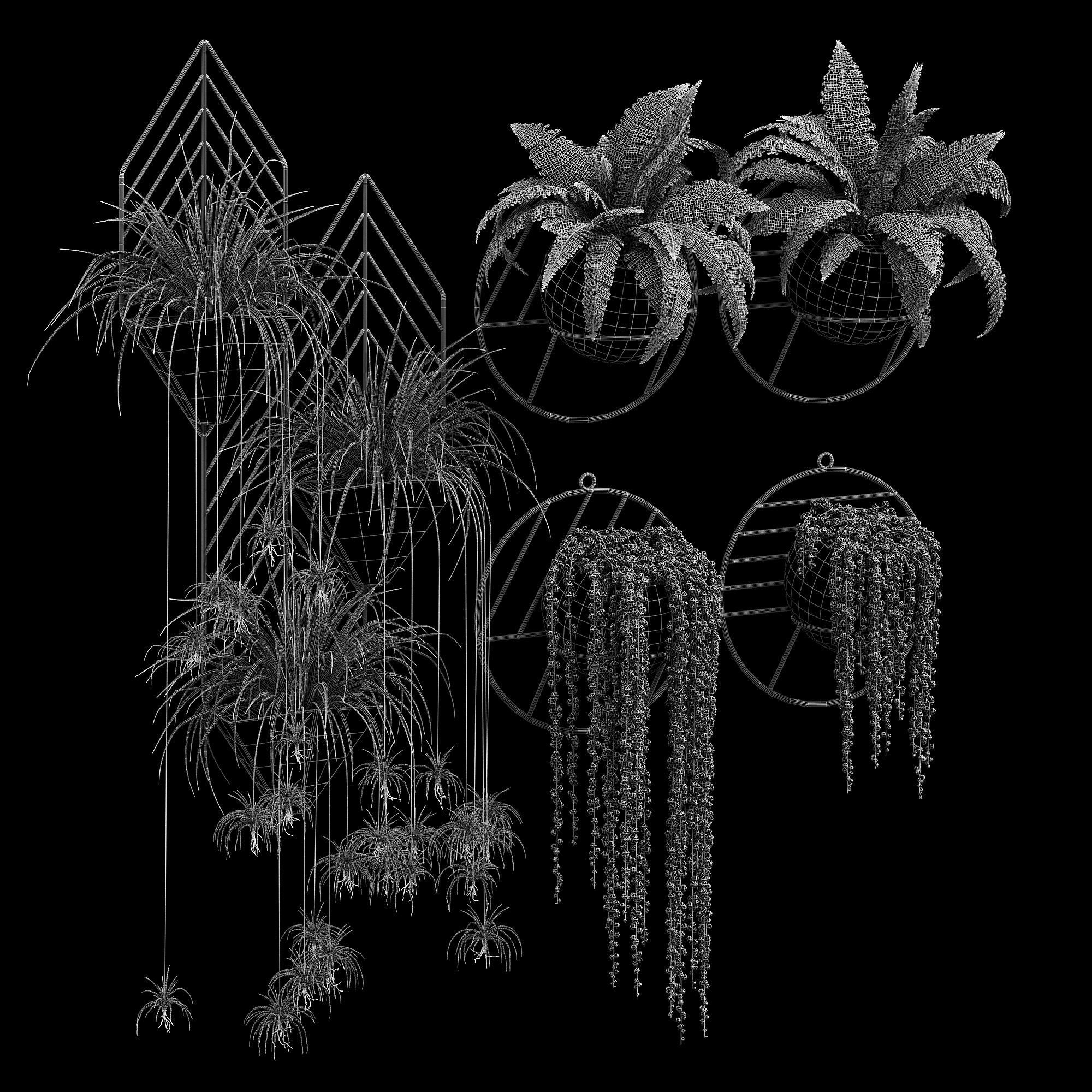 Fegan dayne 3D model_12