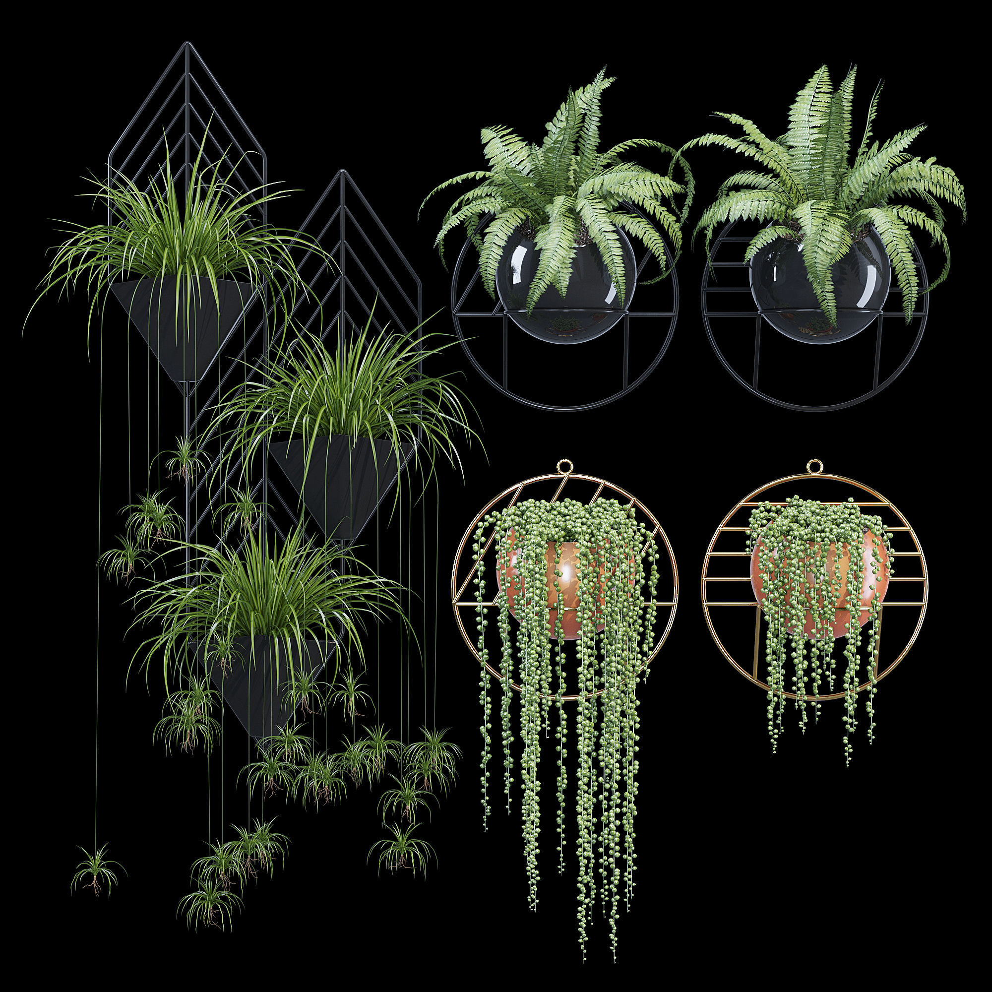 Fegan dayne 3D model_7