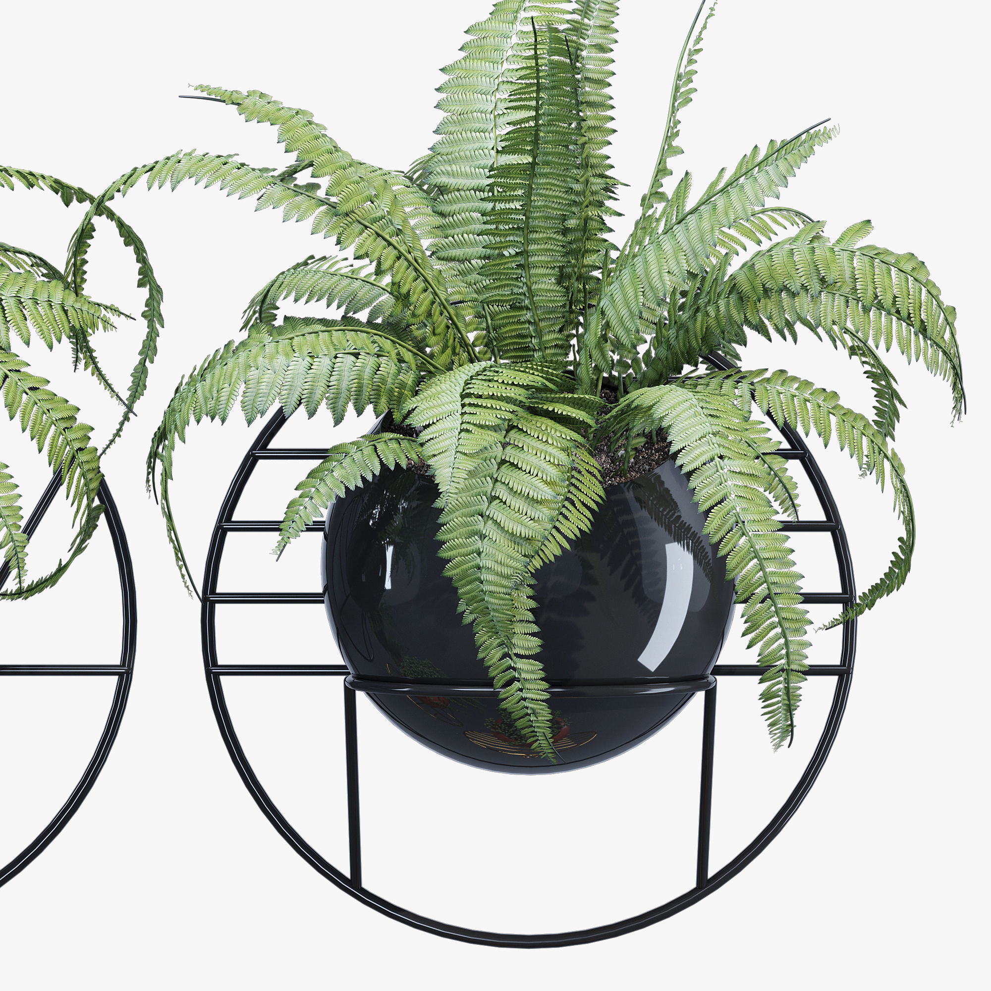 Fegan dayne 3D model_4