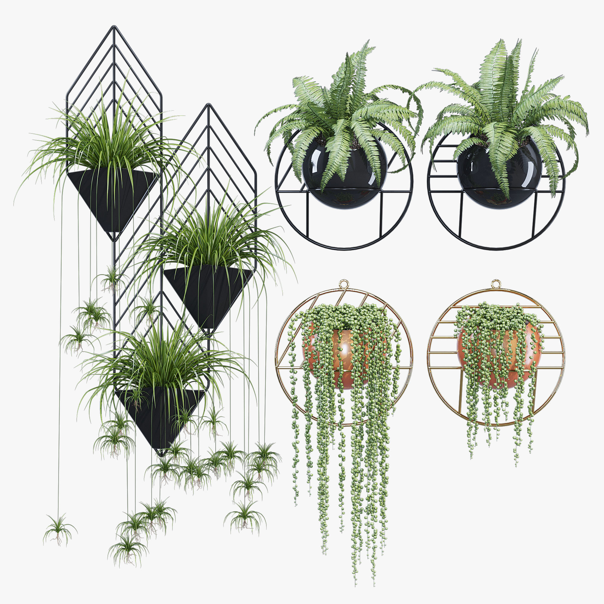 Fegan dayne 3D model_1