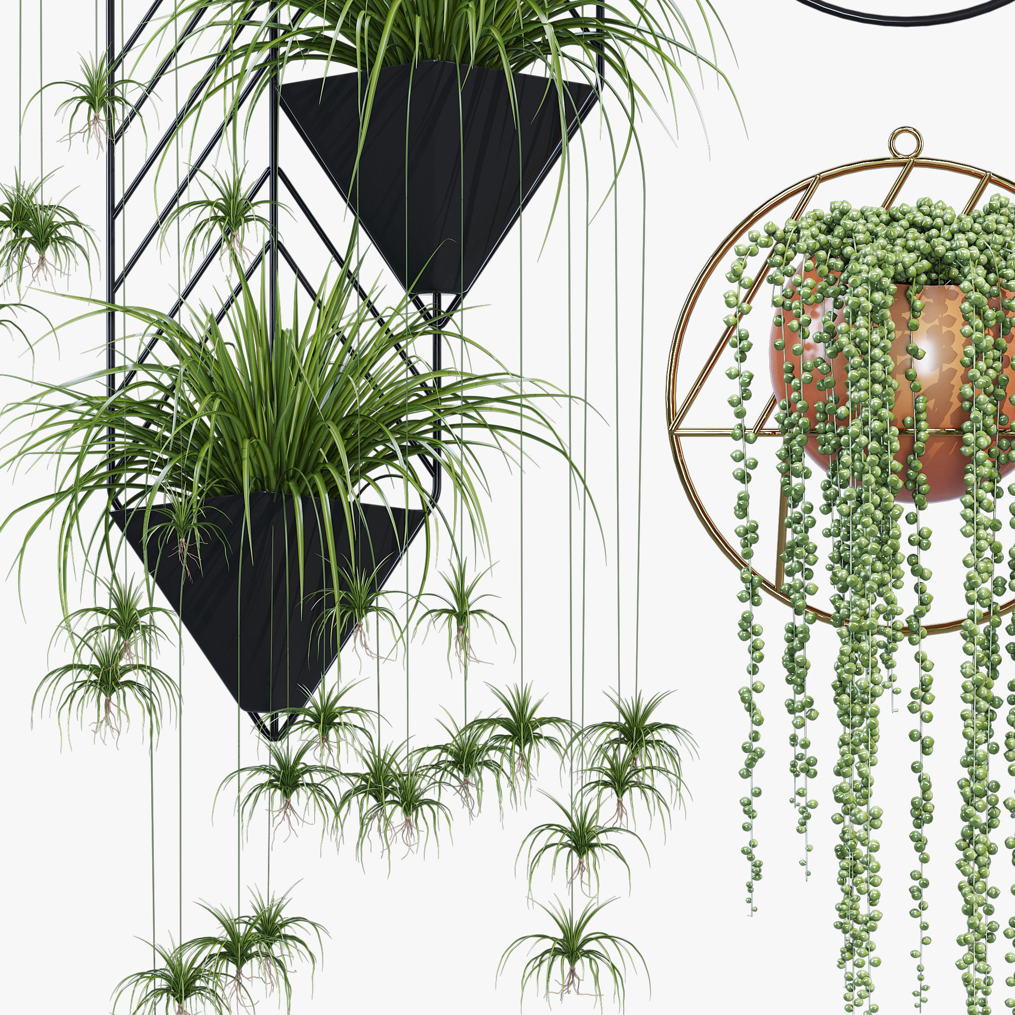 Fegan dayne 3D model_5