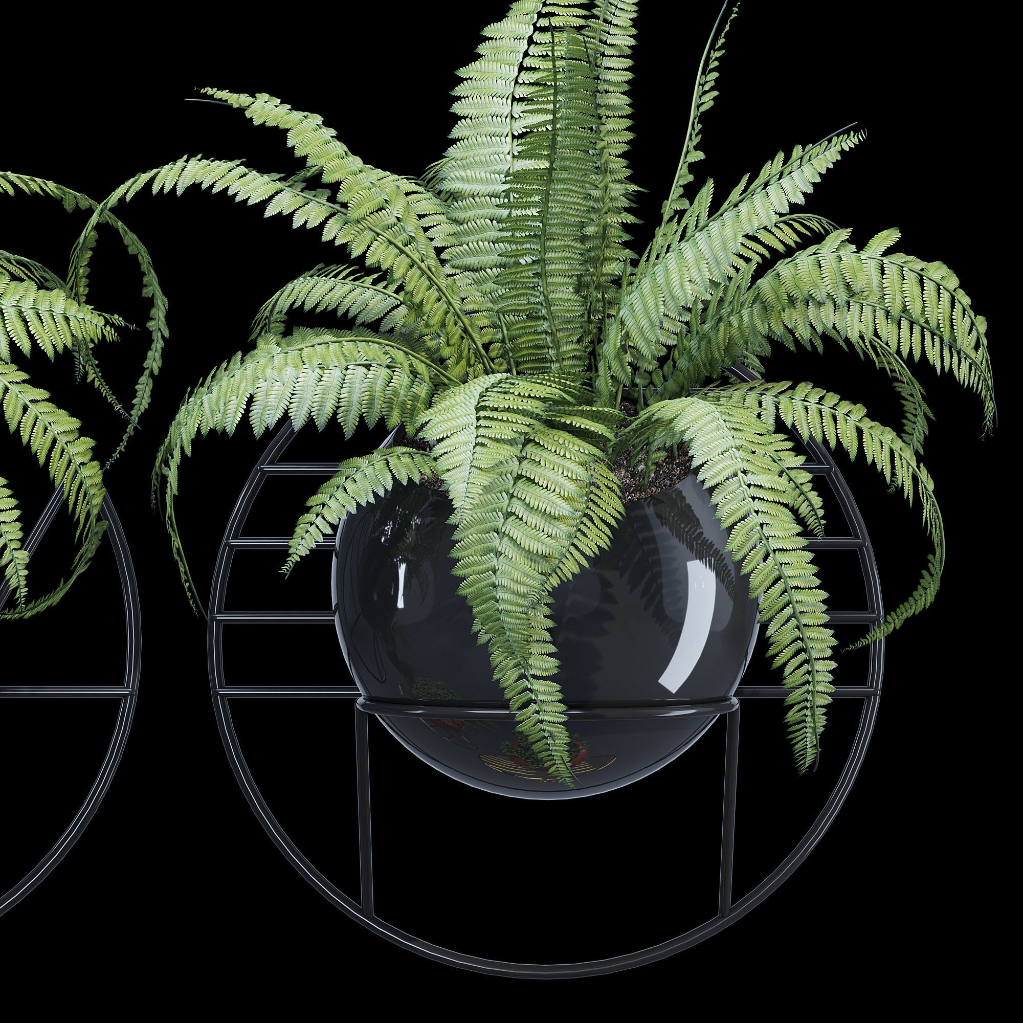 Fegan dayne 3D model_10