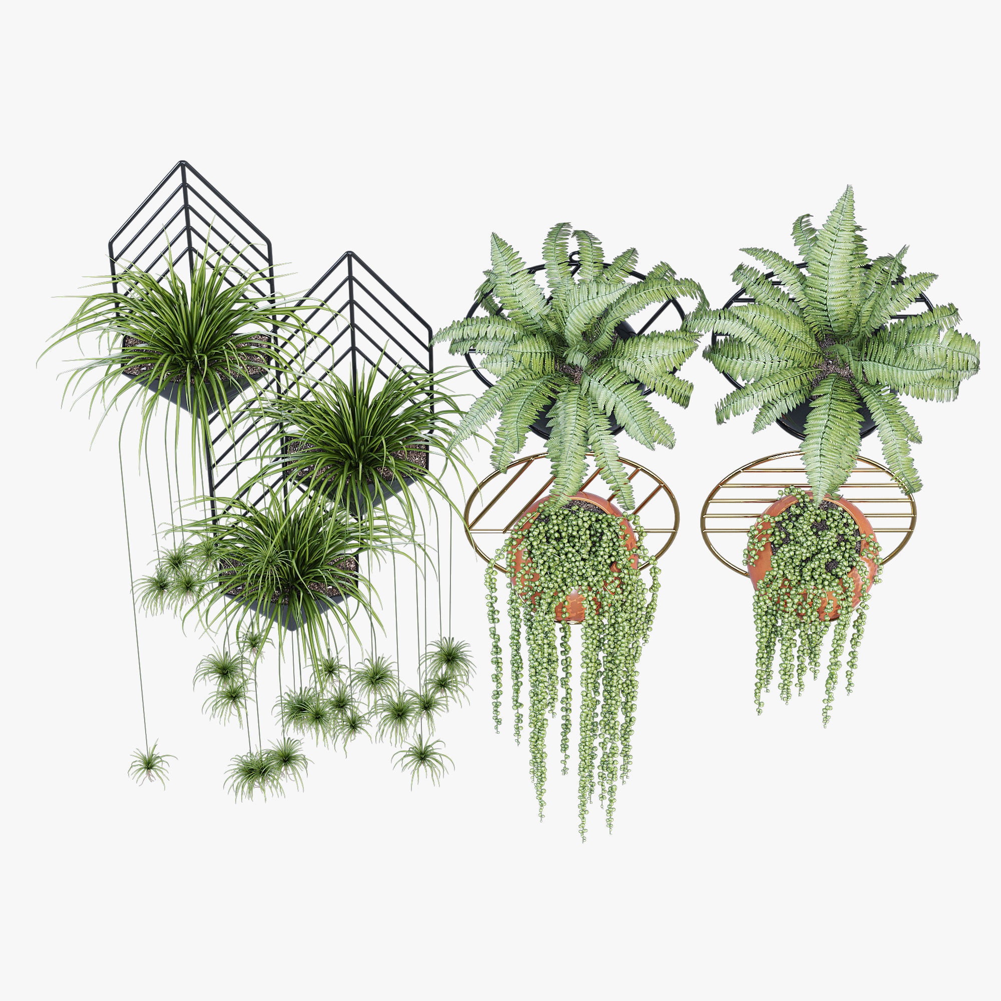 Fegan dayne 3D model_3