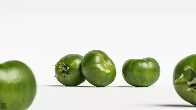 Tomato 3D model