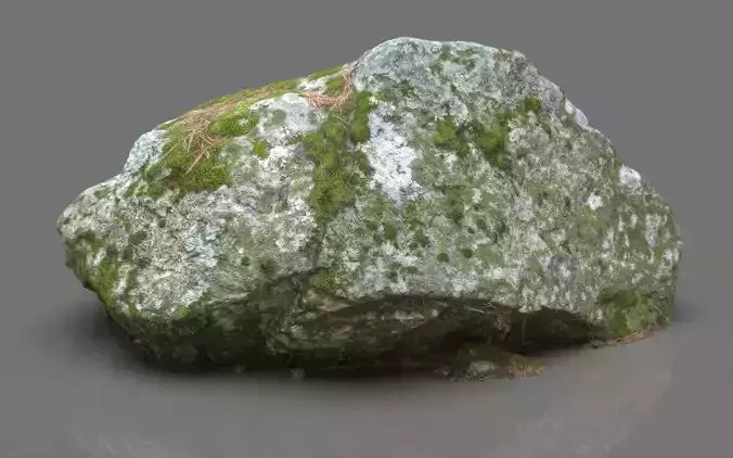 MOSS ROCK 2
