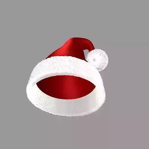 Christmas Hat