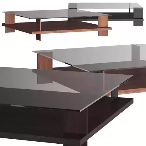 Pacini and Cappellini Corall Coffee Tables