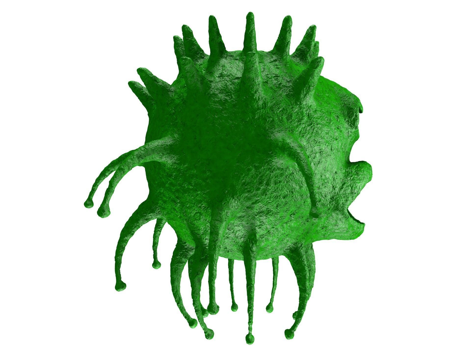 One-eyed tadpole model 3D model_3