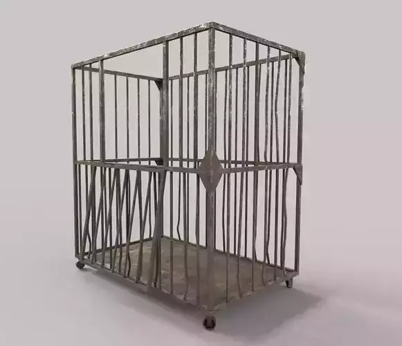 Old Cage