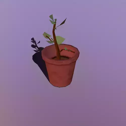 Stylize-Pot-4 plant in pot