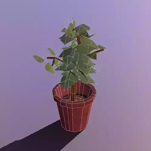 Stylize-Pot-5 plant in pot